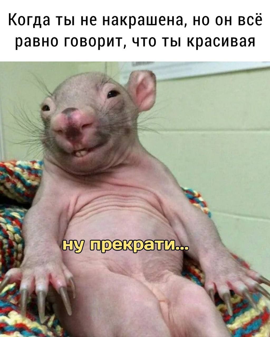 Когда ты не накрашена, но он всё равно говорит, что ты красивая ну прекрати...