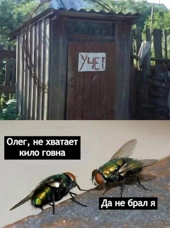 УЧЕТ Олег, не хватает кило говна Да не брал я