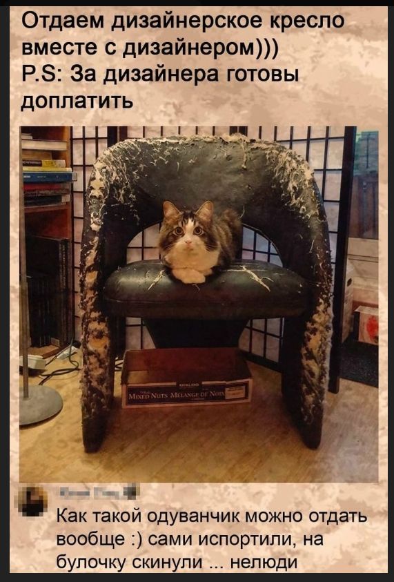 Отдаем дизайнерское кресло вместе с дизайнером))) P.S: За дизайнера готовы доплатить Как такой одуванчик можно отдать вообще :) сами испортили, на булочку скинули ... нелюди