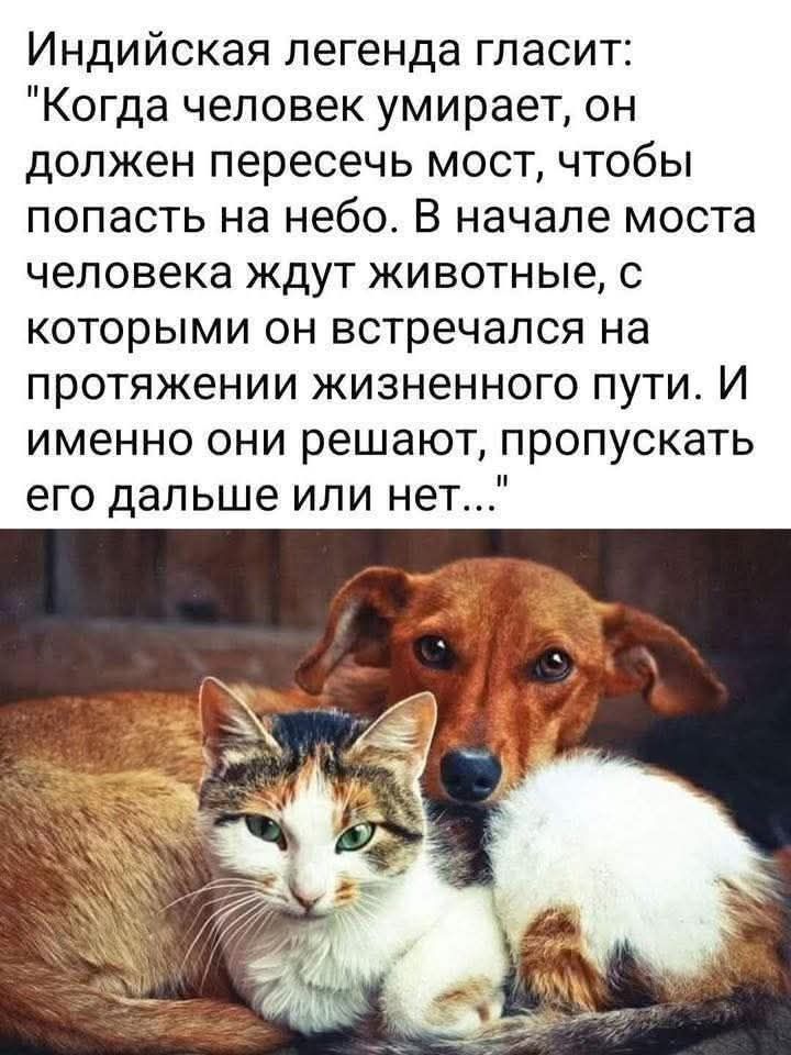 Индийская легенда гласит: 