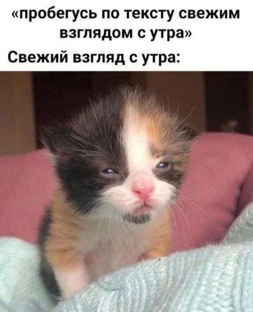 «пробегусь по тексту свежим взглядом с утра» Свежий взгляд с утра: