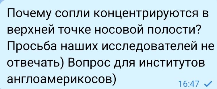 Почему сопли концентрируются в верхней точке носовой полости? Просьба наших исследователей не отвечать) Вопрос для институтов англоамерикосов)
