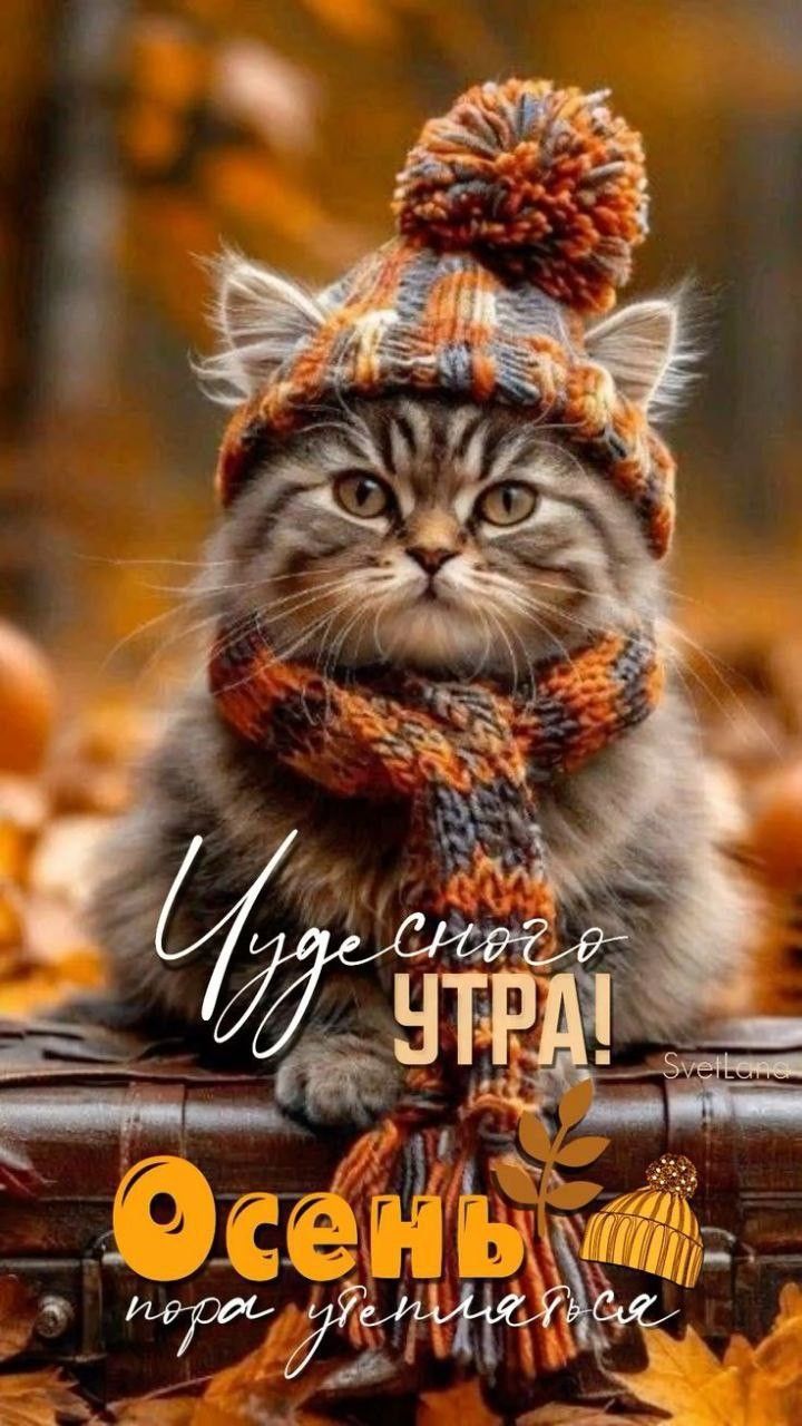 Чудесного утра! Осень, пора утепляться