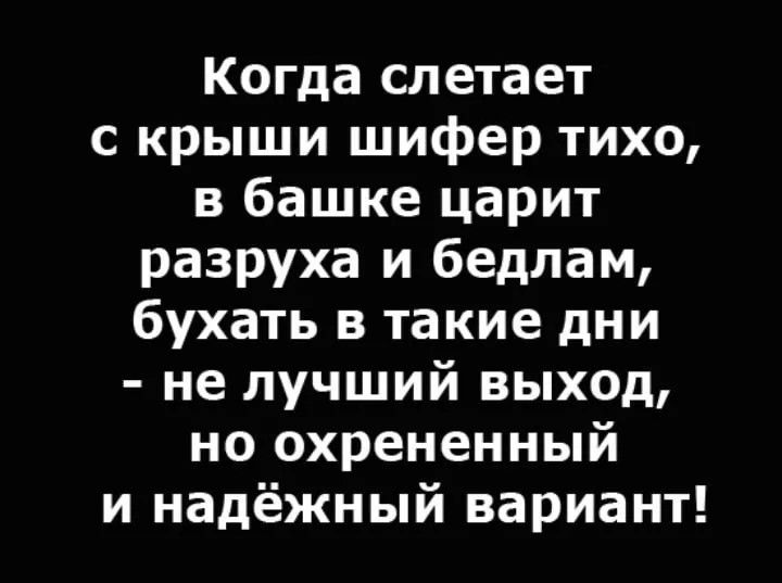 Когда слетает с крыши шифер тихо, в башке царит разруха и бедлам, бухать в такие дни - не лучший выход, но охрененный и надёжный вариант!