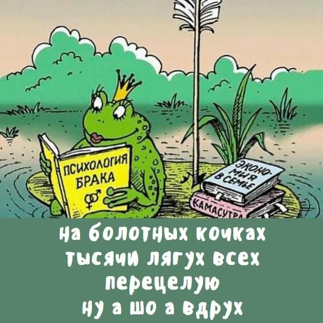 Психология брака. Экономия в семье. Камасутра. На болотных кочках тысячи лягух всех перецелую ну а шо а вдруг