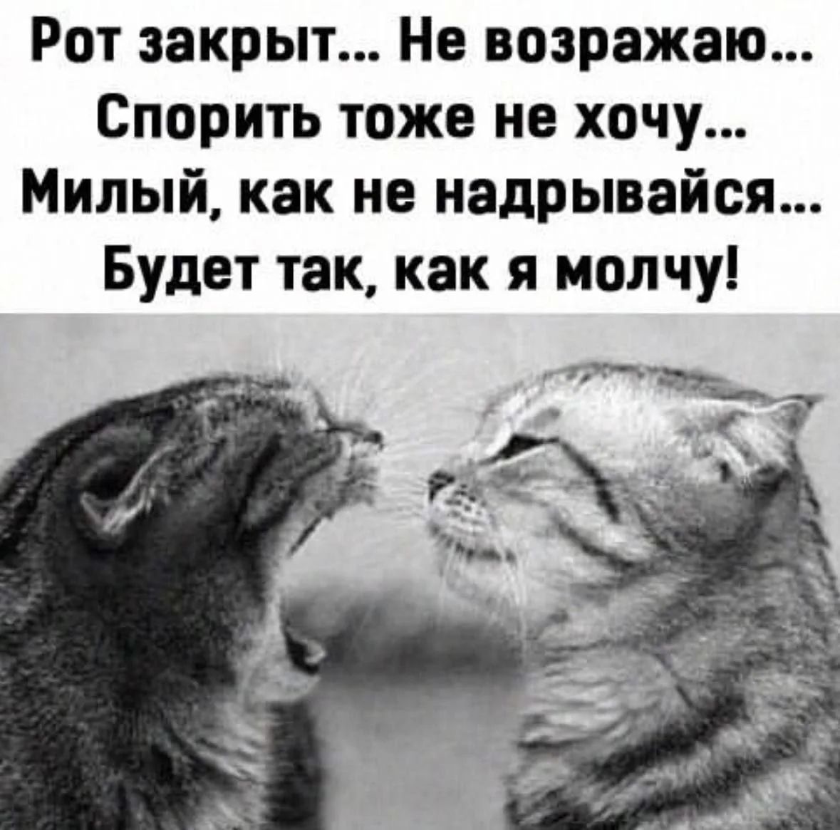 Рот закрыт... Не возражаю... Спорить тоже не хочу... Милый, как не надрывайся... Будет так, как я молчу!