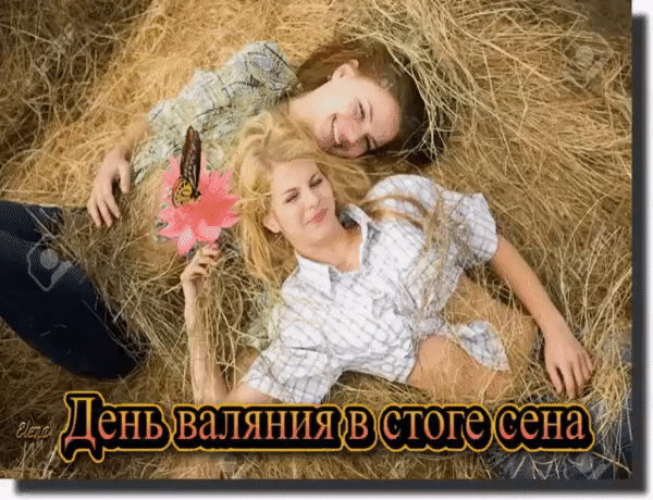 День валяния в стоге сена