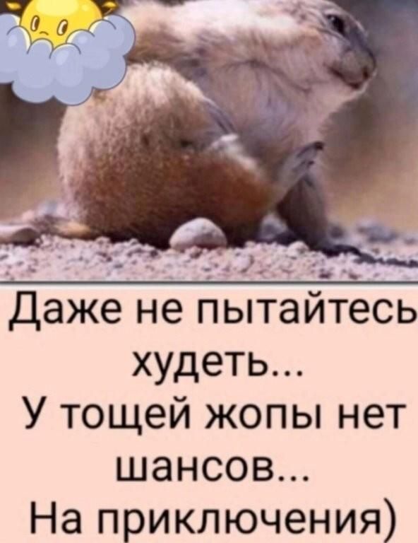 Даже не пытайтесь худеть... У тощей жопы нет шансов... На приключения)