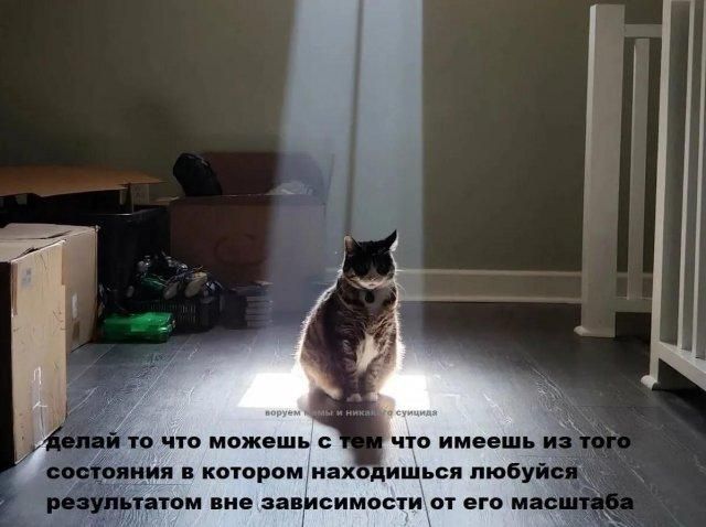 делаи то что можешь с тем что имеешь из того состояния в котором находишься любуйся результатом вне зависимости от его масштаба воруем мемы и никак не суицида