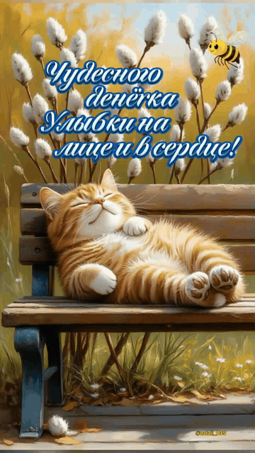 Чудесного денёчка Улыбки на лице и в сердце!