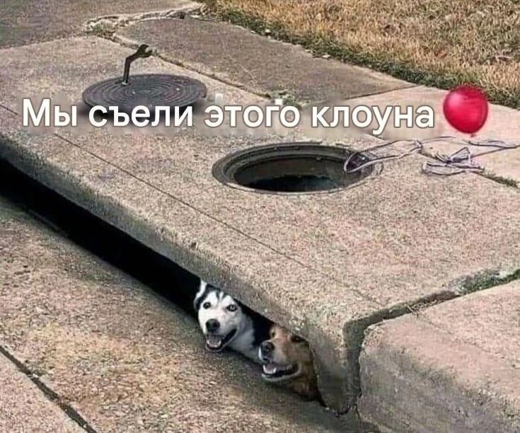 Мы съели этого клоуна
