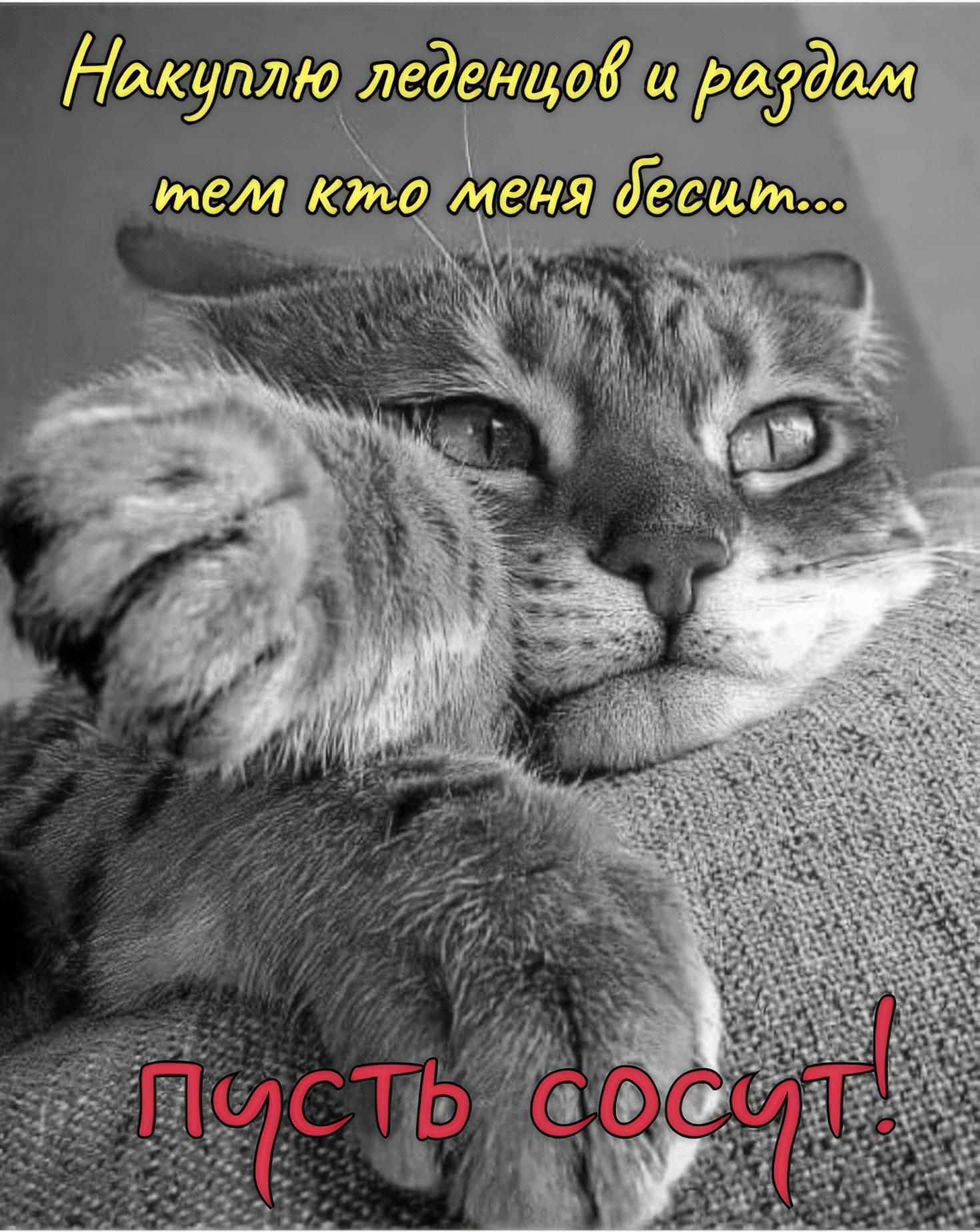 Накуплю леденцов и раздам тем кто меня бесит... Пусть сосут!