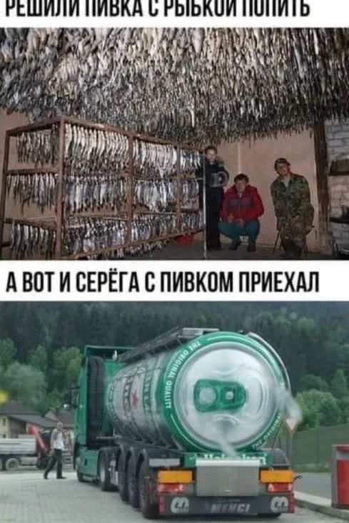 РЕШИЛИ ПИВКА С РЫБКОЙ ПОПИТЬ А ВОТ И СЕРЁГА С ПИВКОМ ПРИЕХАЛ