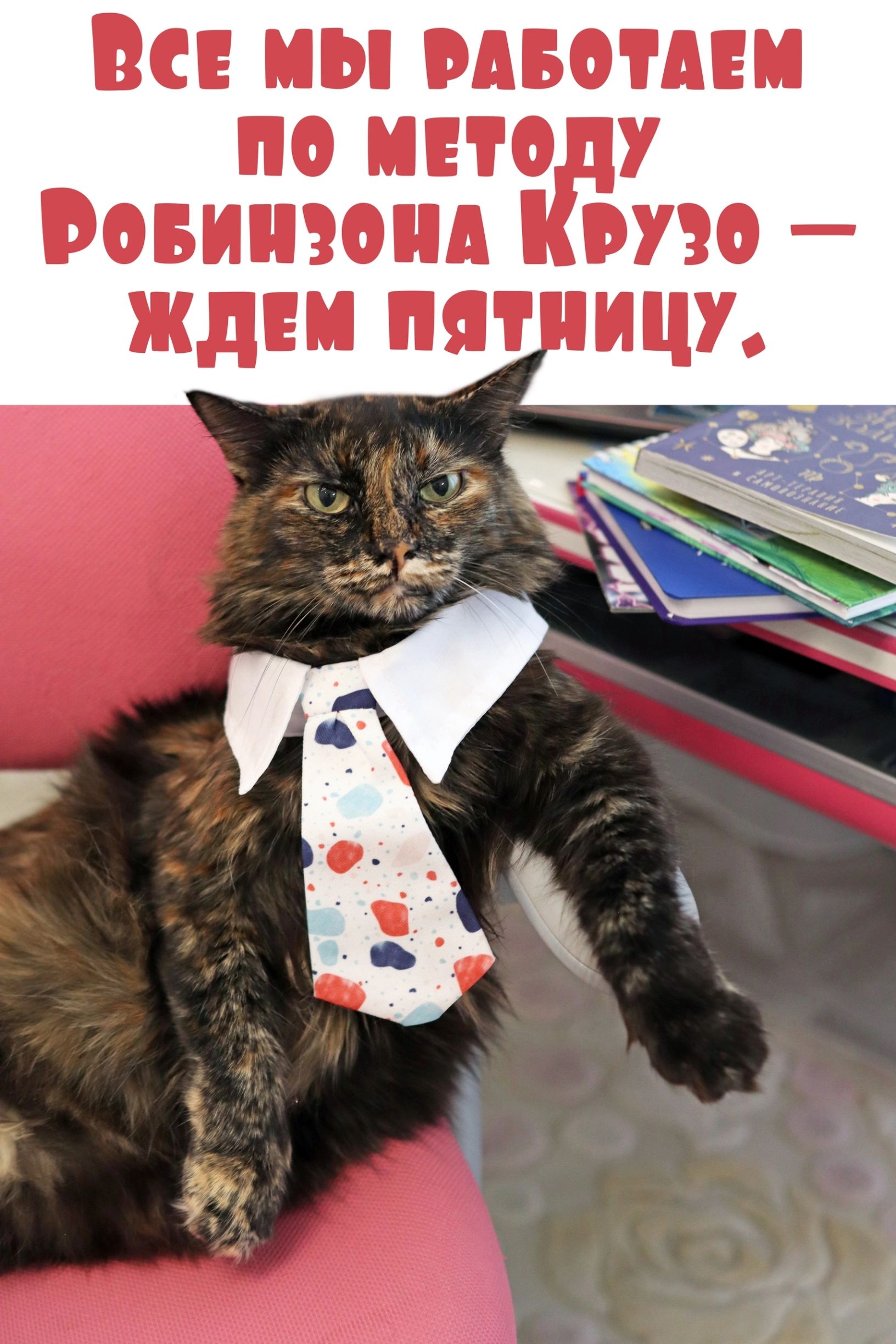 ВСЕ МЫ РАБОТАЕМ ПО МЕТОДУ РОБИНЗОНА КРУЗО — ЖДЕМ ПЯТНИЦУ.