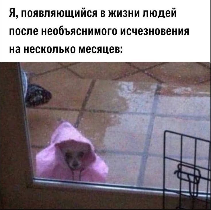 Я, появляющийся в жизни людей после необъяснимого исчезновения на несколько месяцев: