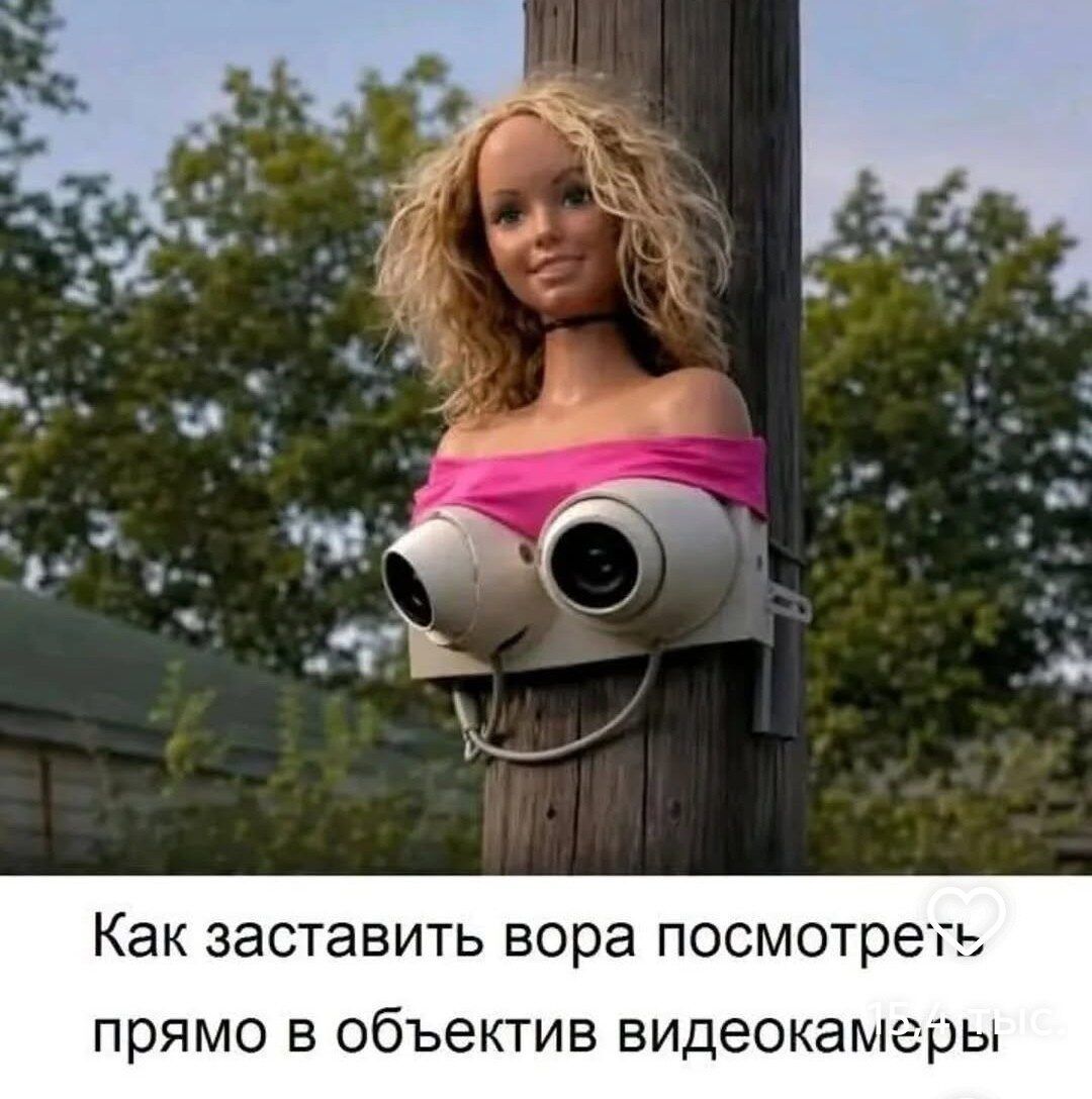 Как заставить вора посмотреть прямо в объектив видеокамеры