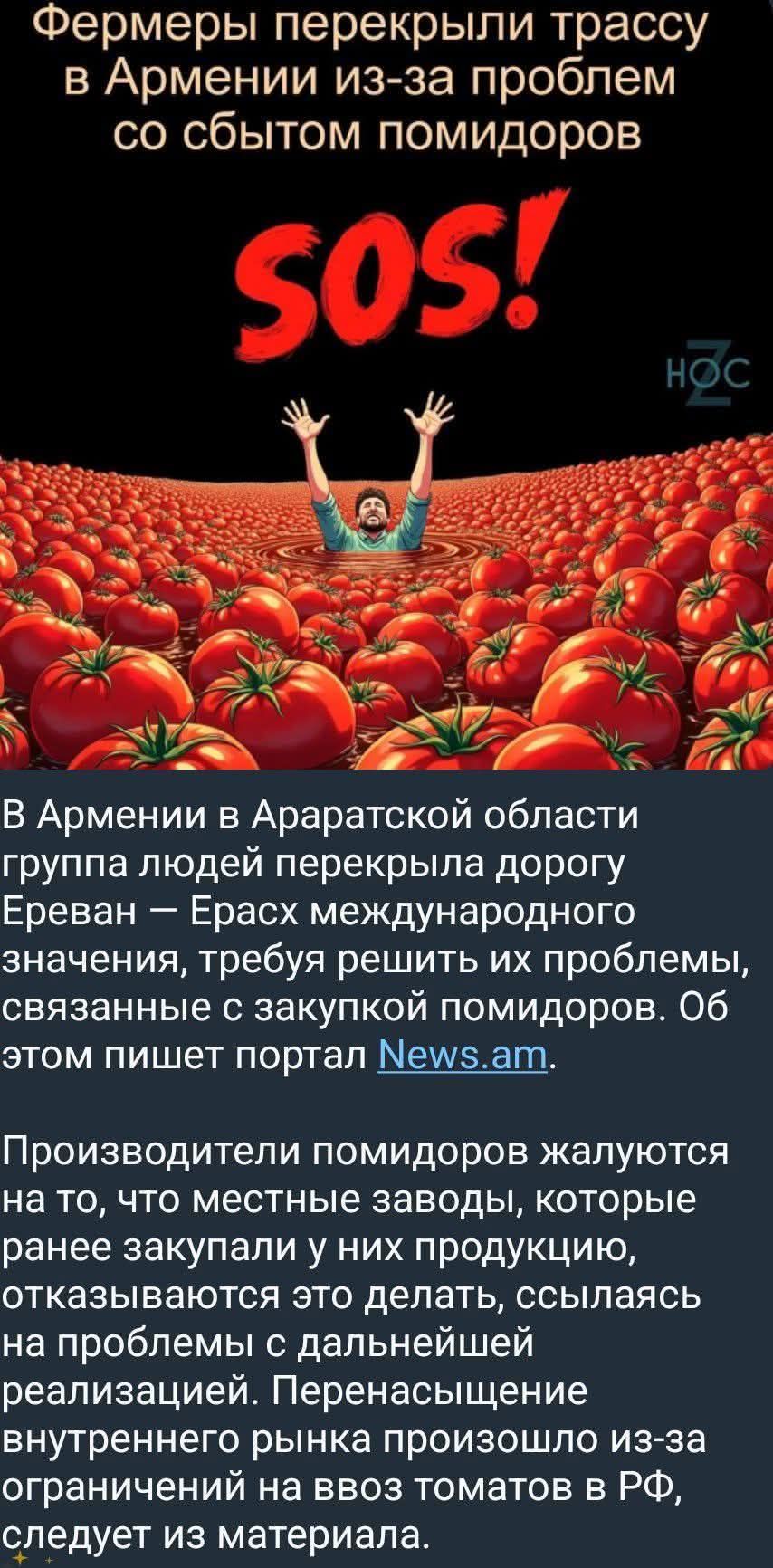 Фермеры перекрыли трассу в Армении из-за проблем со сбытом помидоров SOS! В Армении в Араратской области группа людей перекрыла дорогу Ереван — Ерасх международного значения, требуя решить их проблемы, связанные с закупкой помидоров. Об этом пишет портал News.am. Производители помидоров жалуются на то, что местные заводы, которые ранее закупали у