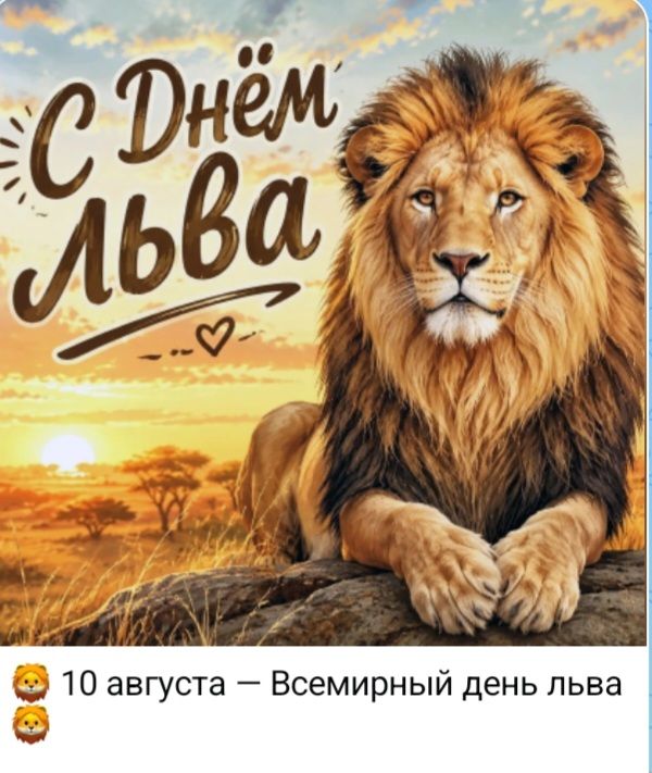 С Днём льва. 10 августа — Всемирный день льва