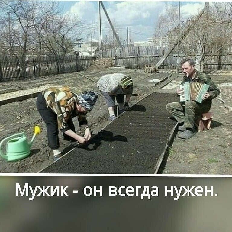 Мужик - он всегда нужен.
