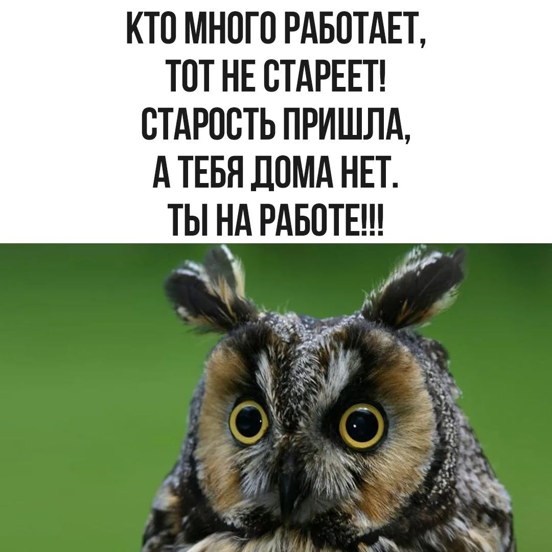 КТО МНОГО РАБОТАЕТ, ТОТ НЕ СТАРЕЕТ! СТАРОСТЬ ПРИШЛА, А ТЕБЯ ДОМА НЕТ. ТЫ НА РАБОТЕ!!!