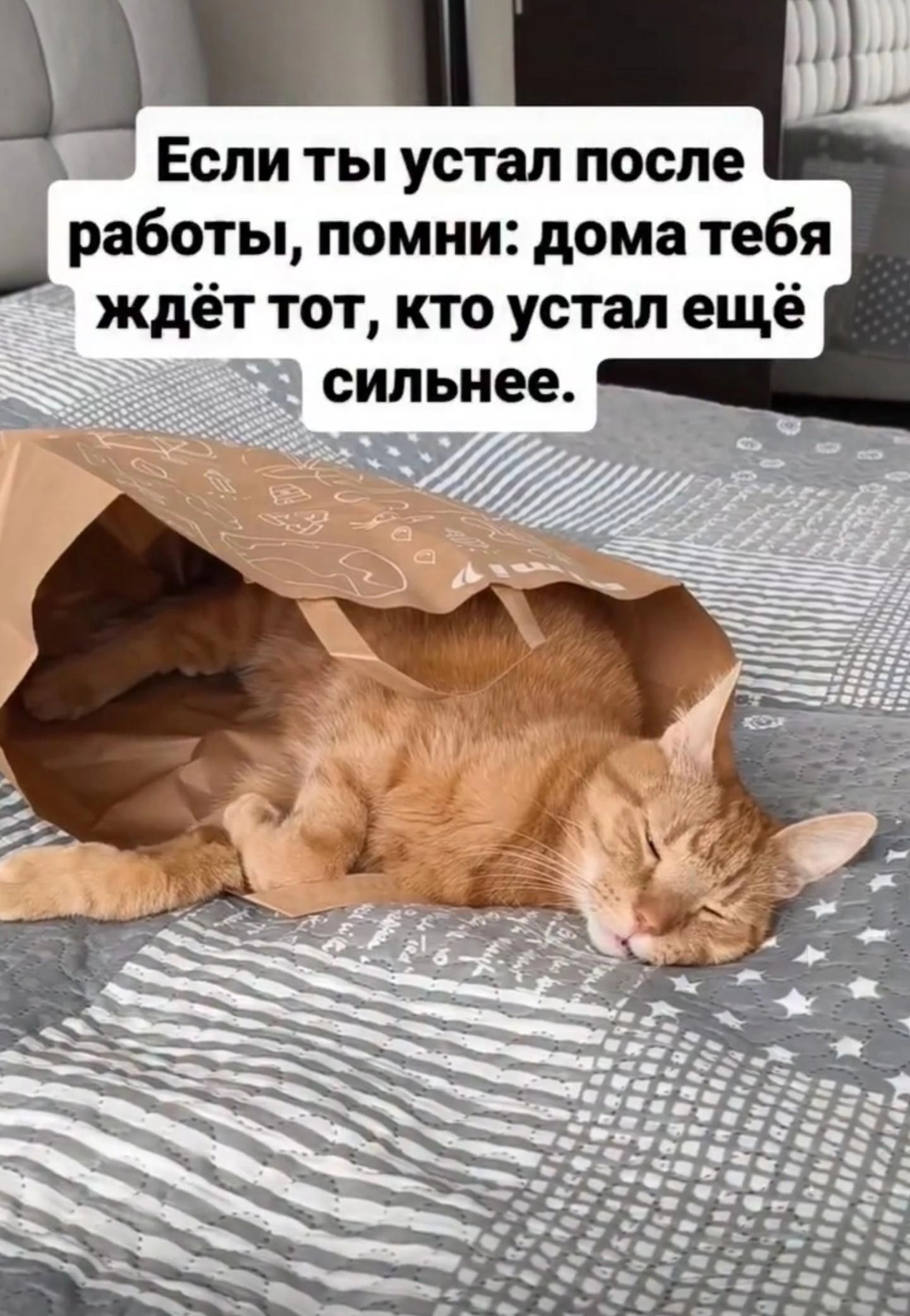 Если ты устал после работы, помни: дома тебя ждёт тот, кто устал ещё сильнее.