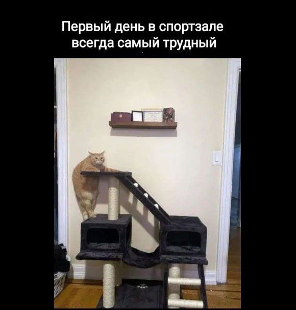 Первый день в спортзале всегда самый трудный