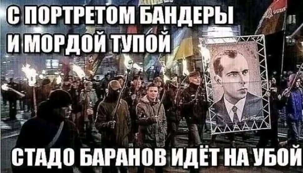 С ПОРТРЕТОМ БАНДЕРЫ И МОРДОЙ ТУПОЙ СТАДО БАРАНОВ ИДЁТ НА УБОЙ