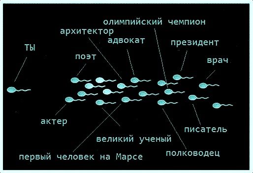 Ты олимпийский чемпион архитектор адвокат президент врач поэт актер великий ученый первый человек на Марсе полководец писатель