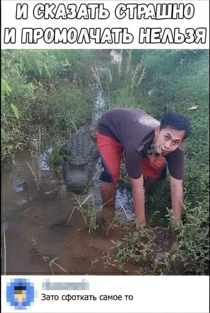 И СКАЗАТЬ СТРАШНО И ПРОМОЛЧАТЬ НЕЛЬЗЯ Зато сфоткать самое то