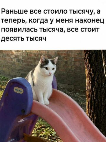 Раньше все стоило тысячу, а теперь, когда у меня наконец появилась тысяча, все стоит десять тысяч