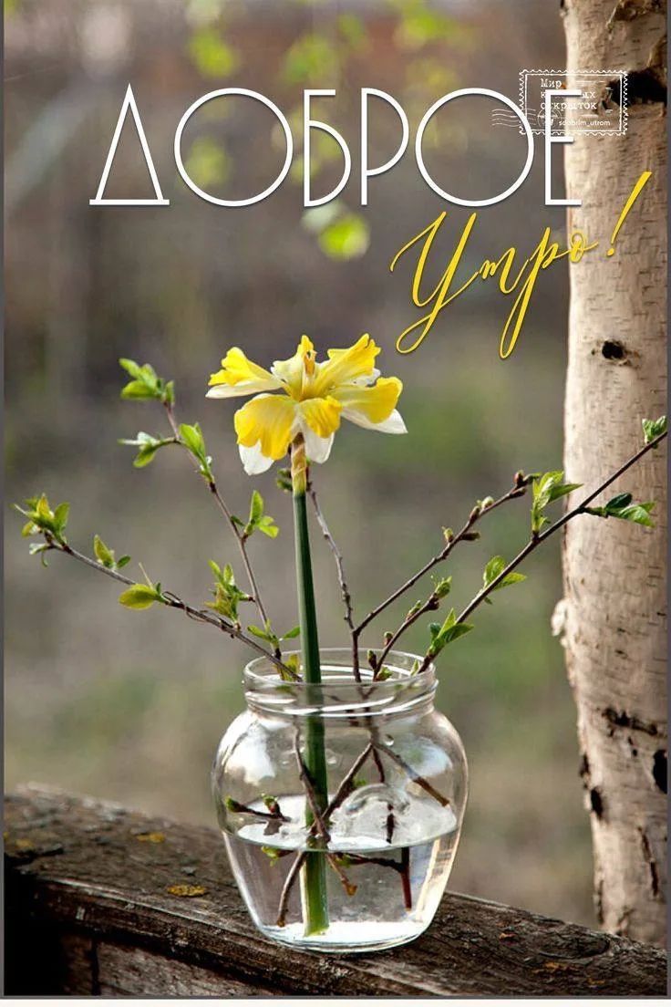 ДОБРОЕ Утро!