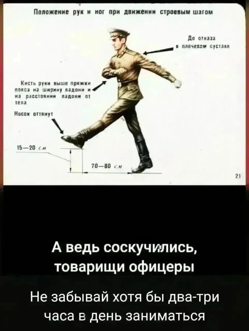 Положение рук и ног при движении строевым шагом. До отказа в плечевом суставе. Кисть руки выше пряжки пояса на ширине ладони и на расстоянии ладони от тела. Носок оттянут. 15-20 см. 70-80 см. 21. А ведь соскучились, товарищи офицеры. Не забывай хотя бы два-три часа в день заниматься