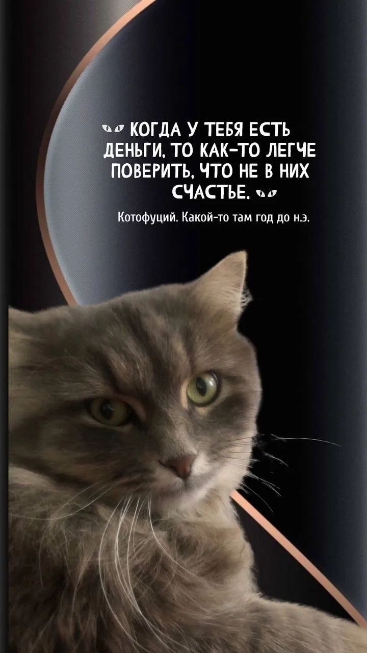 Когда у тебя есть деньги, то как-то легче поверить, что не в них счастье. Котофуций. Какой-то там год до н.э.