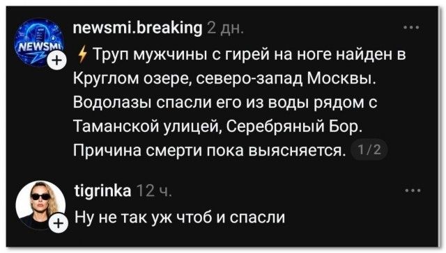 Труп мужчины с гирей на ноге найден в Круглом озере, северо-запад Москвы. Водолазы спасли его из воды рядом с Таманской улицей, Серебряный Бор. Причина смерти пока выясняется. Ну не так уж чтоб и спасли