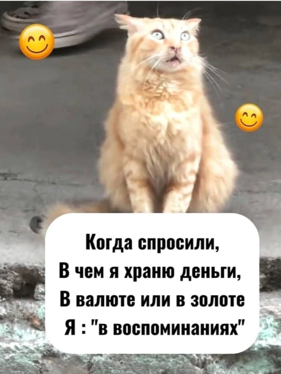 Когда спросили, В чем я храню деньги, В валюте или в золоте Я: 