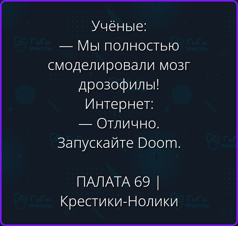 Учёные: — Мы полностью смоделировали мозг дрозофилы! Интернет: — Отлично. Запускайте Doom.