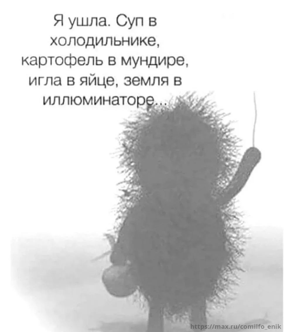Я ушла. Суп в холодильнике, картофель в мундире, игла в яйце, земля в иллюминаторе...