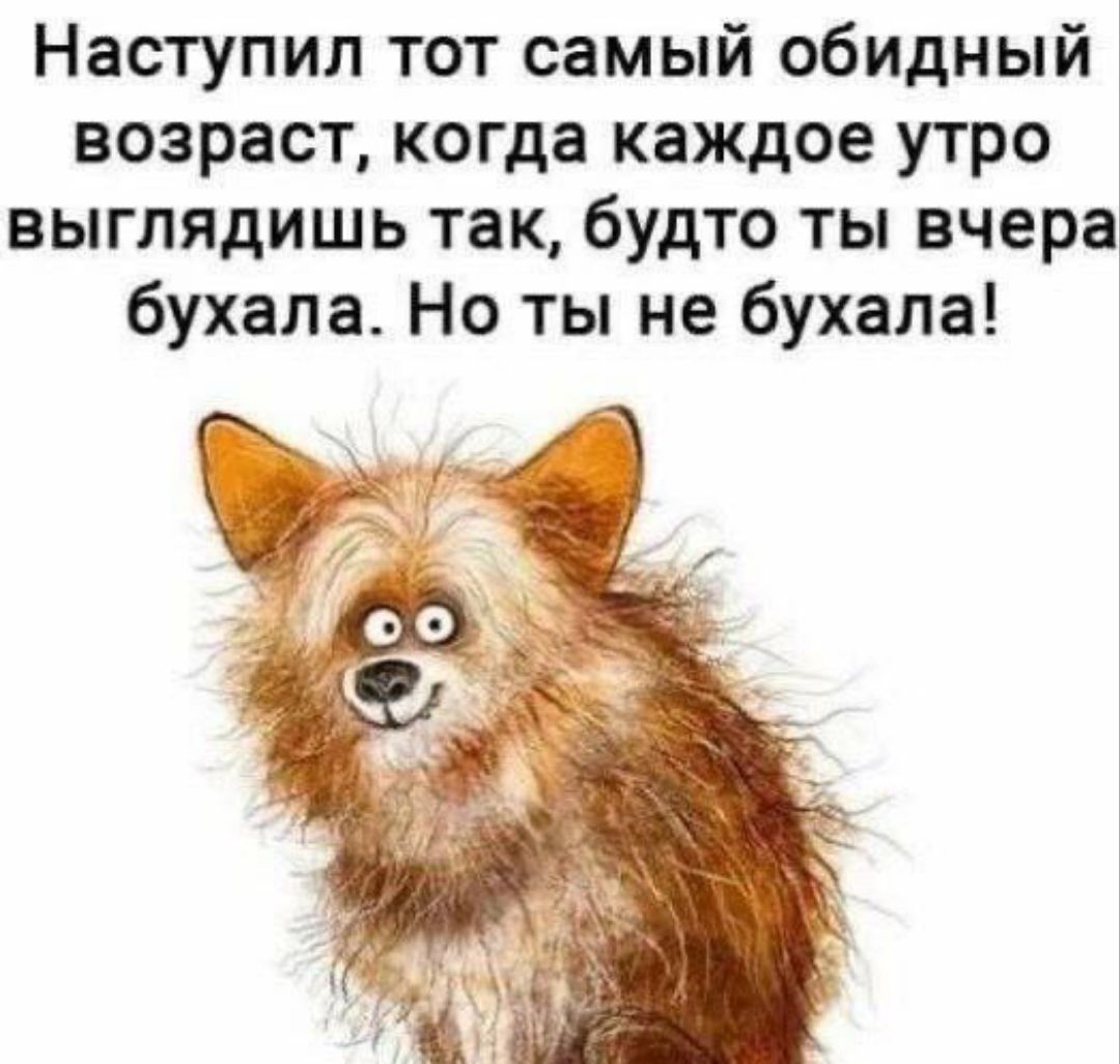 Наступил тот самый обидный возраст, когда каждое утро выглядишь так, будто ты вчера бухала. Но ты не бухала!