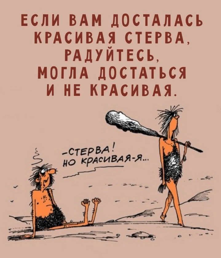 ЕСЛИ ВАМ ДОСТАЛАСЬ КРАСИВАЯ СТЕРВА, РАДУЙТЕСЬ, МОГЛА ДОСТАТЬСЯ И НЕ КРАСИВАЯ. -СТЕРВА! НО КРАСИВАЯ-Я...