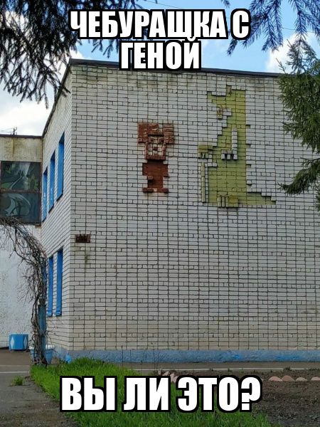 ЧЕБУРАШКА С ГЕНОЙ ВЫ ЛИ ЭТО?
