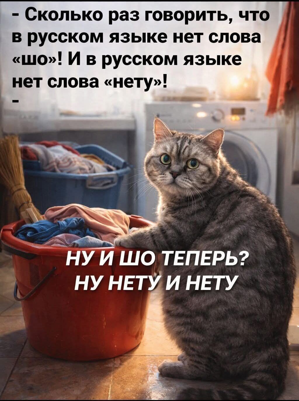 Сколько раз говорить, что в русском языке нет слова «шо»! И в русском языке нет слова «нету»! Ну и шо теперь? Ну нету и нету