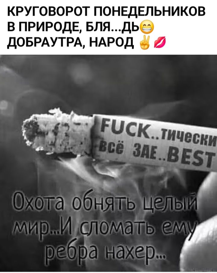 КРУГОВОРОТ ПОНЕДЕЛЬНИКОВ В ПРИРОДЕ, БЛЯ...ДЬ 😂 ДОБРАУТРА, НАРОД ✌️💋 FUCK...тически всё ЗАЕ...BEST Охота обнять целый мир...И сломать ему ребра нахер...