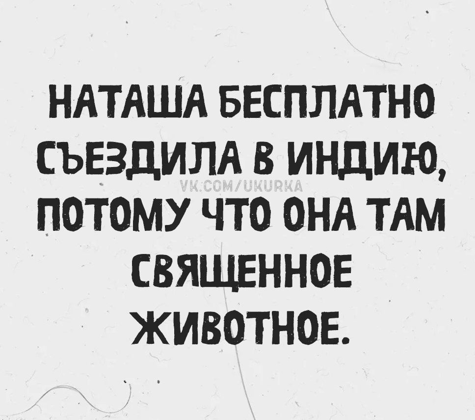 НАТАША БЕСПЛАТНО СЪЕЗДИЛА В ИНДИЮ, ПОТОМУ ЧТО ОНА ТАМ СВЯЩЕННОЕ ЖИВОТНОЕ.