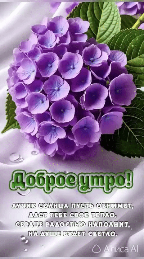Доброе утро! Лучик солнца пусть обнимет, даст тебе свое тепло, сердце радостью наполнит, на душе будет светло.