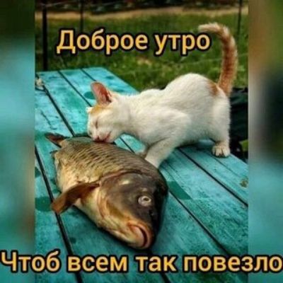 Доброе утро. Чтоб всем так повезло