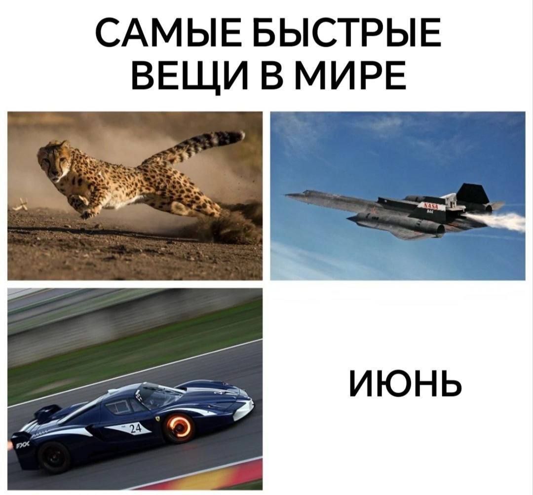 САМЫЕ БЫСТРЫЕ ВЕЩИ В МИРЕ ИЮНЬ