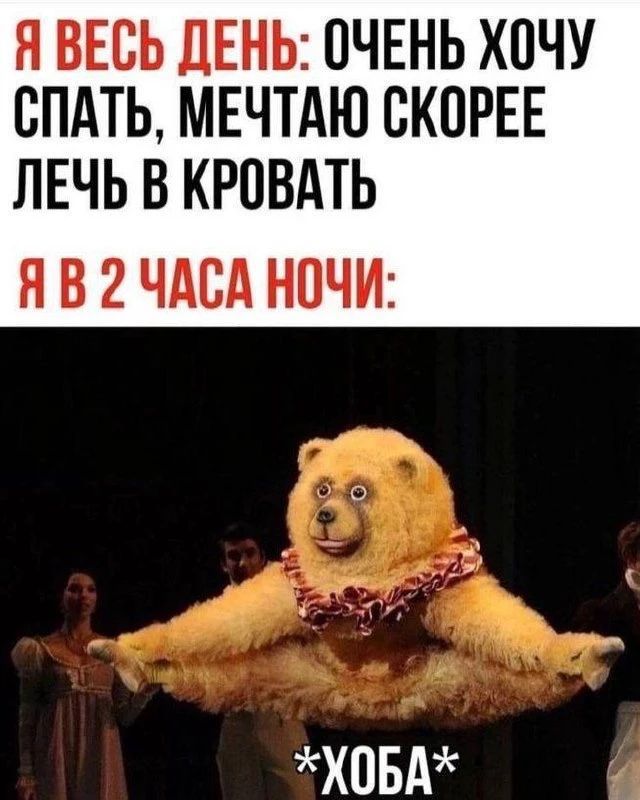 Я весь день: очень хочу спать, мечтаю скорее лечь в кровать. Я в 2 часа ночи: *хоба*