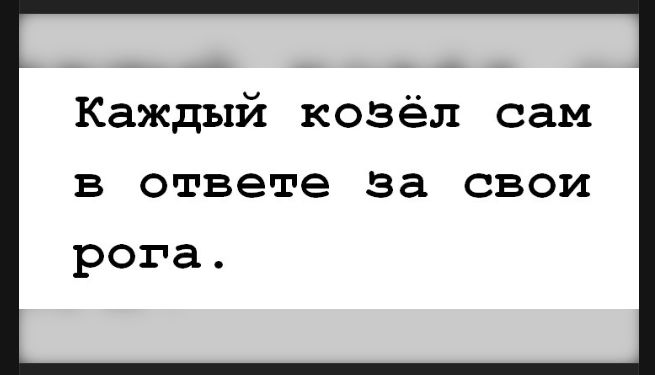 Каждый козёл сам в ответе за свои рога.