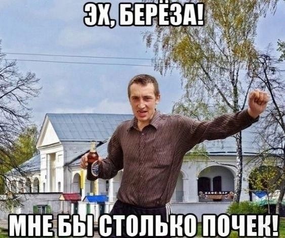 ЭХ, БЕРЁЗА! МНЕ БЫ СТОЛЬКО ПОЧЕК!