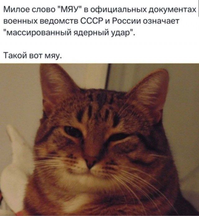 Милое слово 
